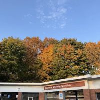Hartsdale Auto Service, Inc