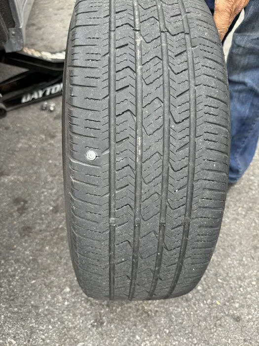 Hy Line Blue Repair 0
