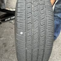 Hy Line Blue Repair