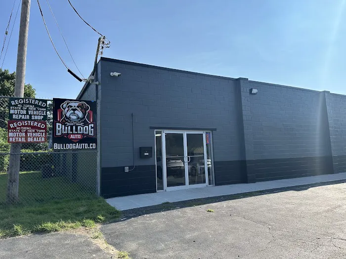 Bulldog Auto 7
