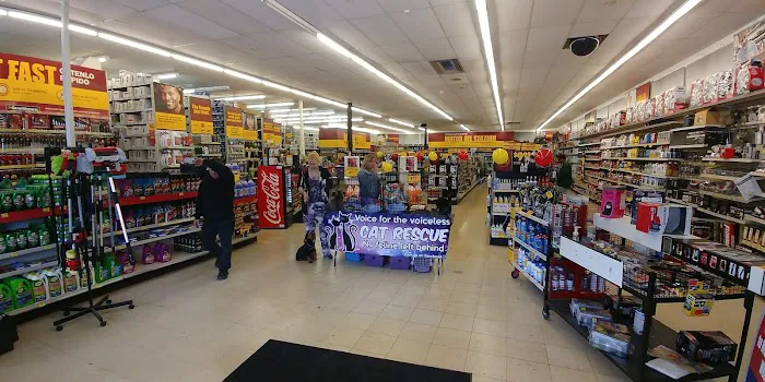 Advance Auto Parts 1