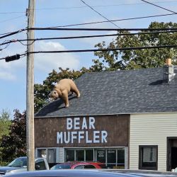 Bear Muffler ico
