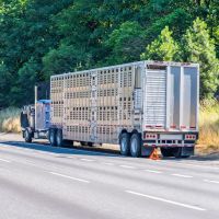 MM Mobile Truck Repair & Tires