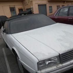 Raul’s Auto Upholstery ico