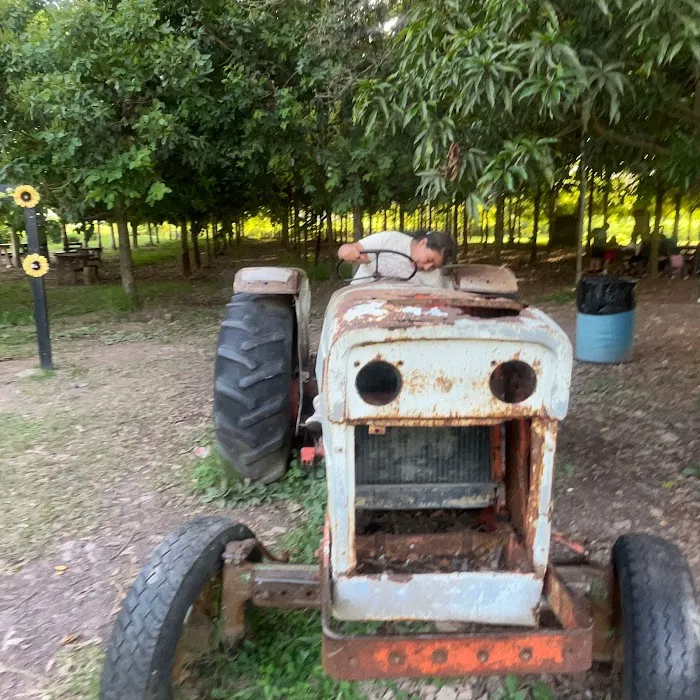 Ortiz Jr Auto Repair 4