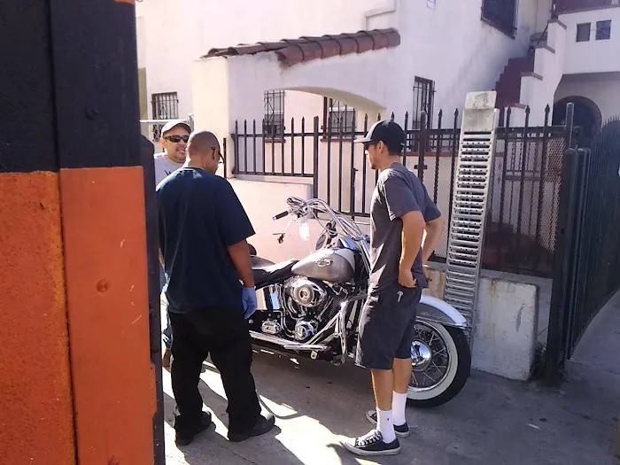life style hogg parts 9