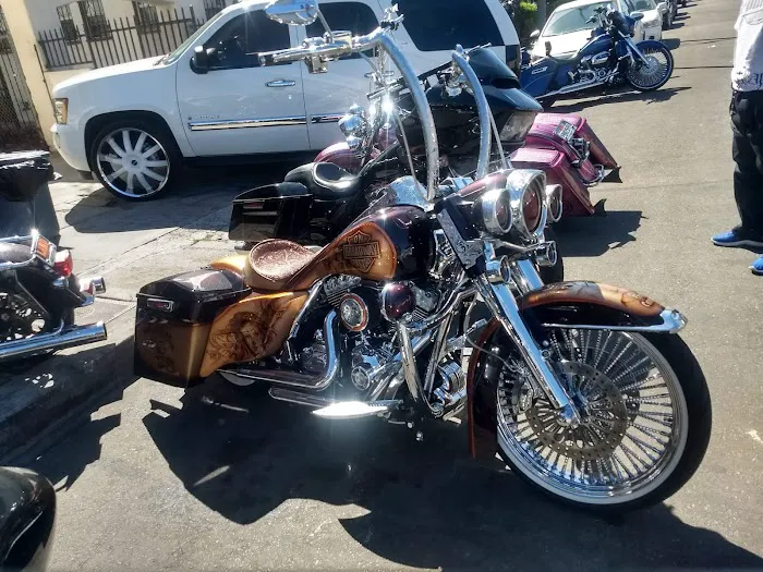 life style hogg parts 6