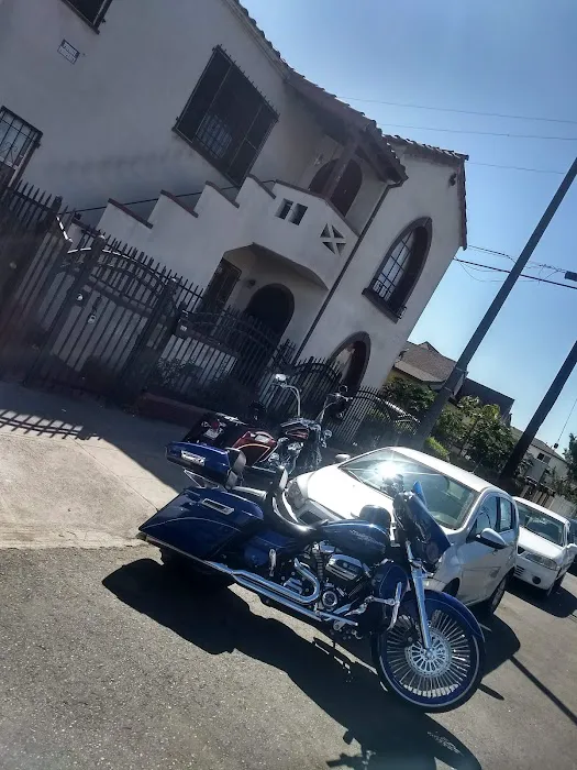 life style hogg parts 5