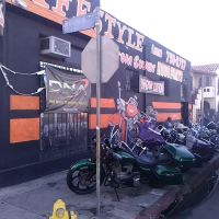 life style hogg parts