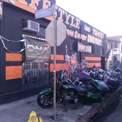 life style hogg parts ico