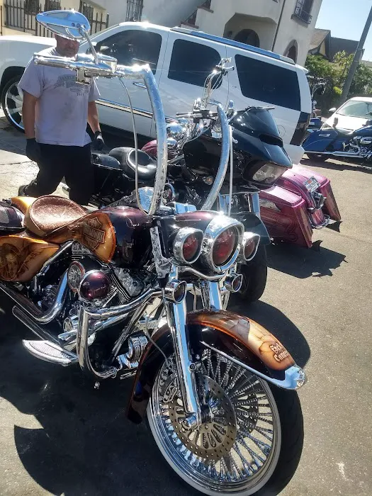life style hogg parts 1