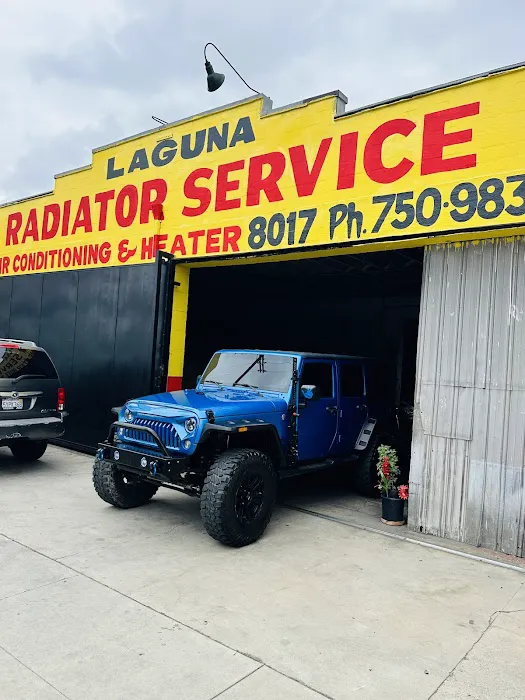 Laguna Radiators 5