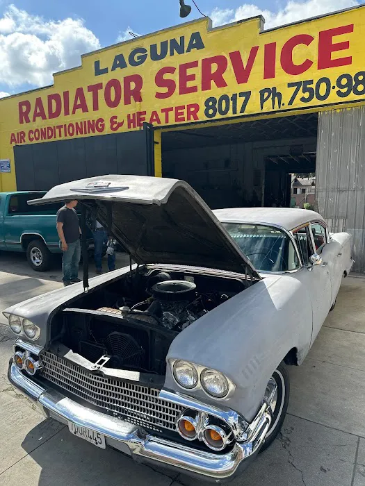 Laguna Radiators 2
