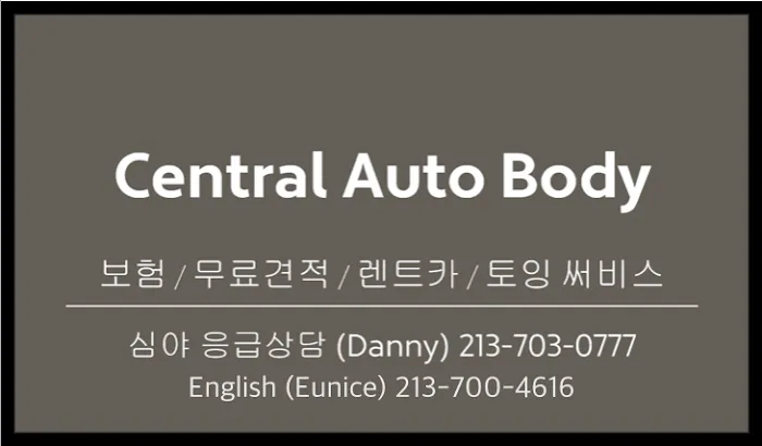 Central Auto Body 6