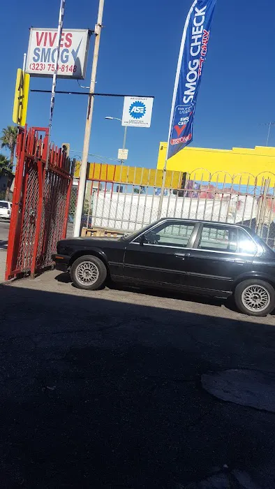Vives Smog Check 6