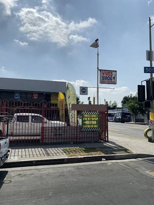Vives Smog Check 1