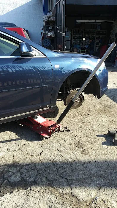 Vives Smog Check 4