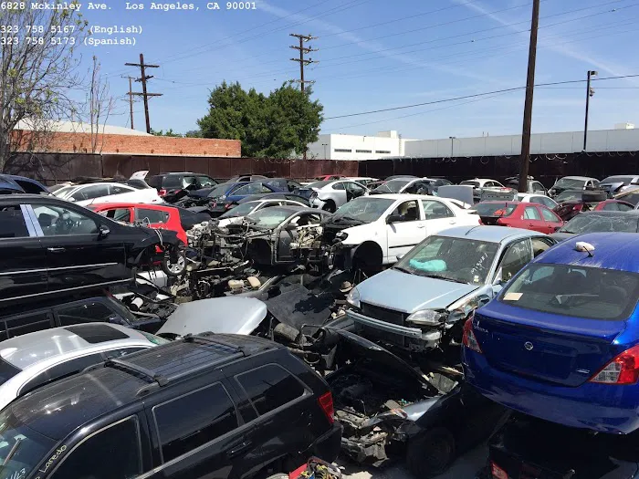 Downtown Auto Dismantlers Inc. 8