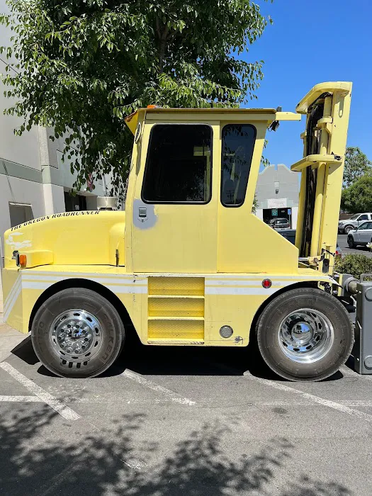 Lenz Window Tint & Auto Glass 6