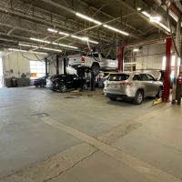 Shepard Toyota Parts