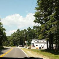 Pine Tree Services Center Inc