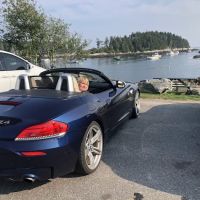 European Auto Service & Sales