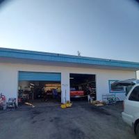 Gordos tires and performance