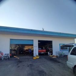 Gordos tires and performance ico