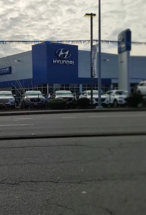 Hyundai Service 1