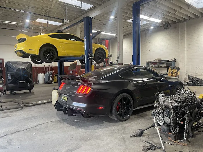Dave Power Automotive & Marine 8