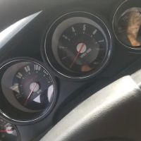 US Speedo Inc
