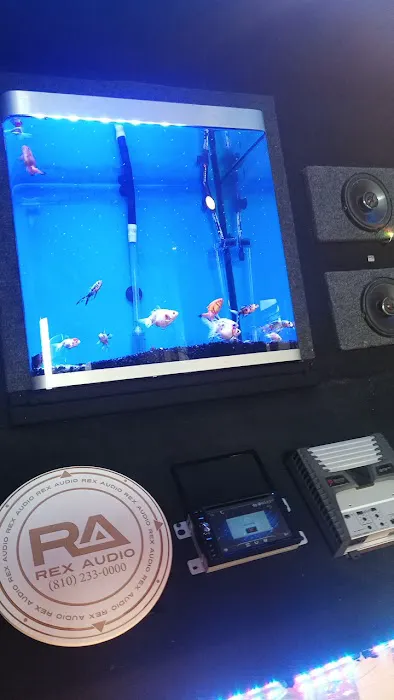 Rex Audio 1