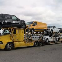 MAPLE LEAF IMPORTING, LLC