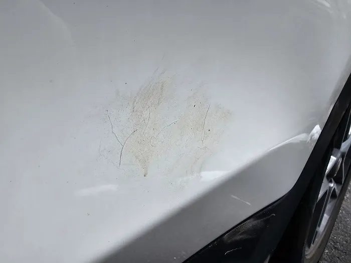 Hardyston Collision Services LLC 7