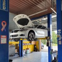 Pine Island Auto Inc.