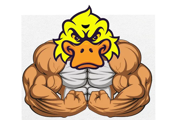 PATO BRAVO INC 0