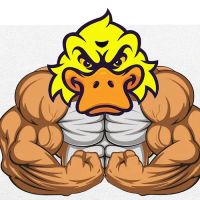 PATO BRAVO INC