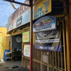 Real Auto Electric ico