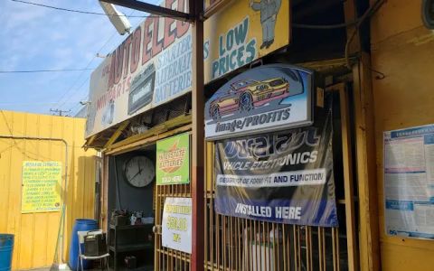 Real Auto Electric