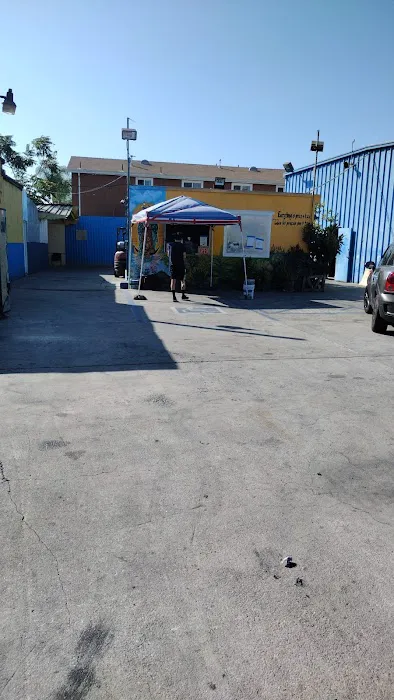 Wholesale Brother Auto Glass Inc. 3