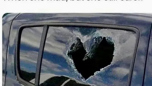 Mike's Auto Glass 7