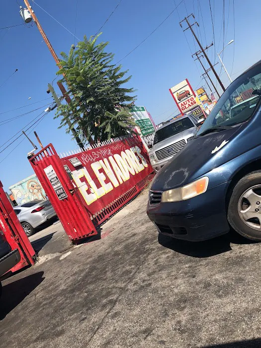 Jesus Jr Auto Glass 6