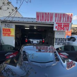 Mundo Window Tinting ico