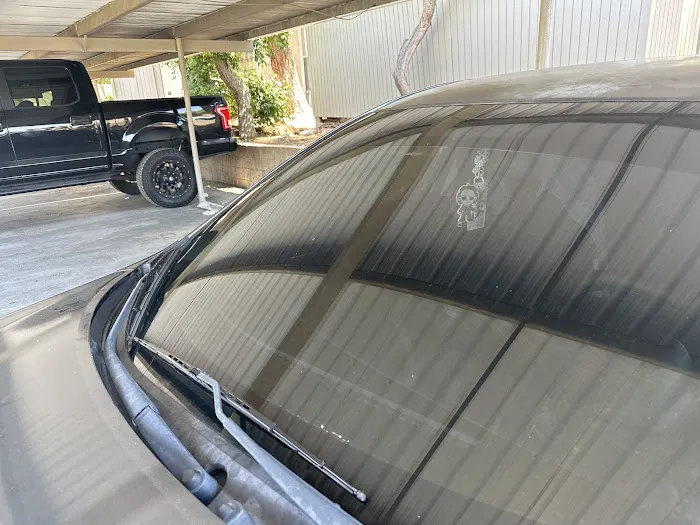 Window Tinting Ofelia's 1