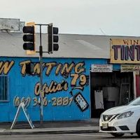 Window Tinting Ofelia's