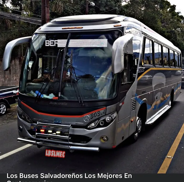 Lemus auto accesorios Llc 5