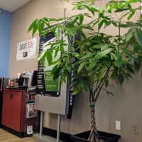 Firestone Complete Auto Care