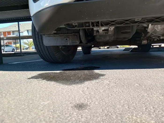 Purrfect Auto Services #888 7