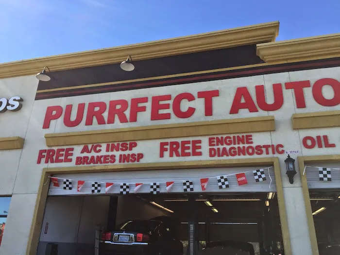 Purrfect Auto Services #888 2