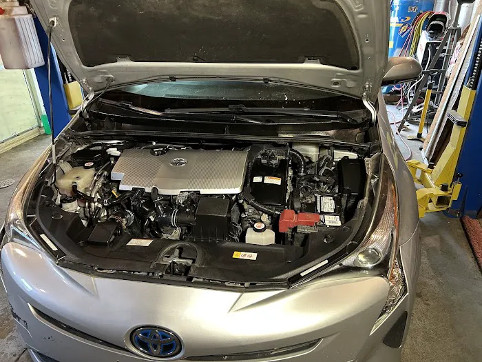 The Prius Guy 1